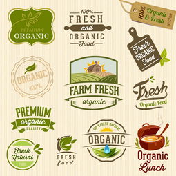 绿色有机食品饮料图标设计图片素材 高清模板下载 2.78MB 食物 饮料图标大全